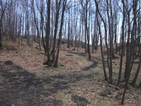 anobello-04032012 181